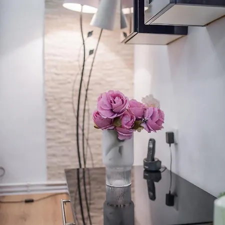 The Skver-elegant Apartmant