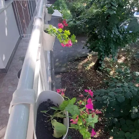 The Skver-elegant Apartmant *