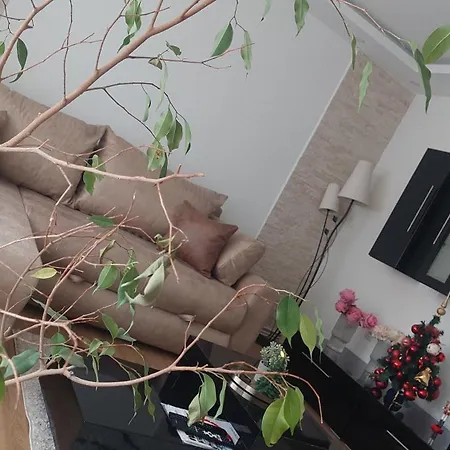 The Skver-elegant Apartmant Апартаменты