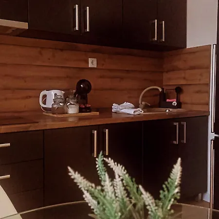 The Skver-elegant Apartmant